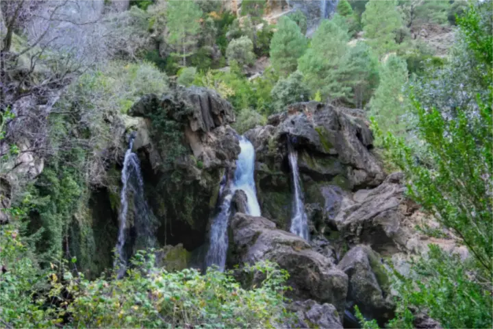 Cascadas entre la vegetación de la sierra de Cazorla