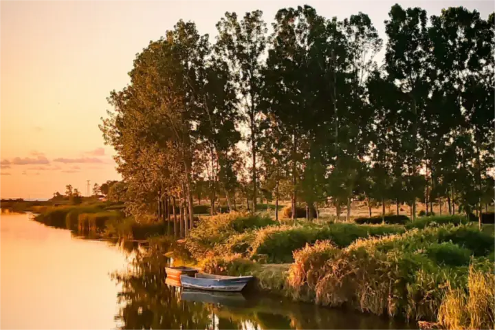 Orilla de río al atardecer