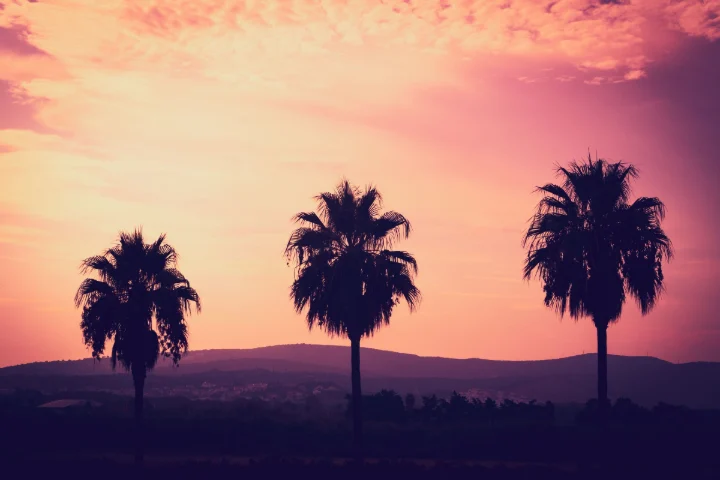 Atardecer en Sotogrande, San Roque