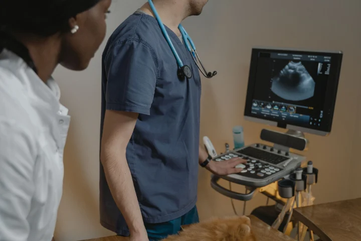 Ecografía a un perro en una clínica veterinaria