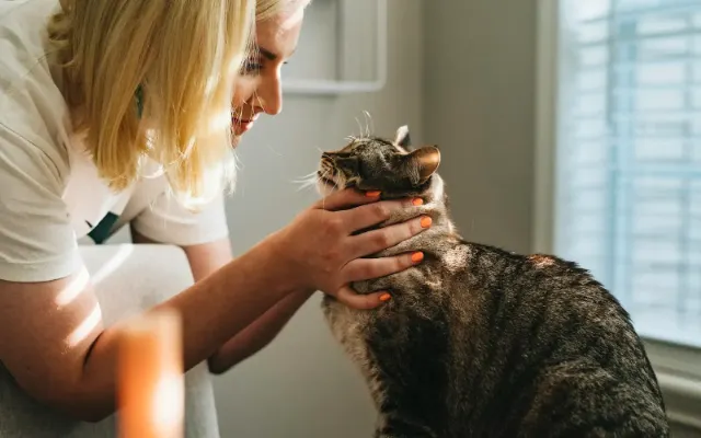 Veterinarias: inteligencia artificial aplicada al sector