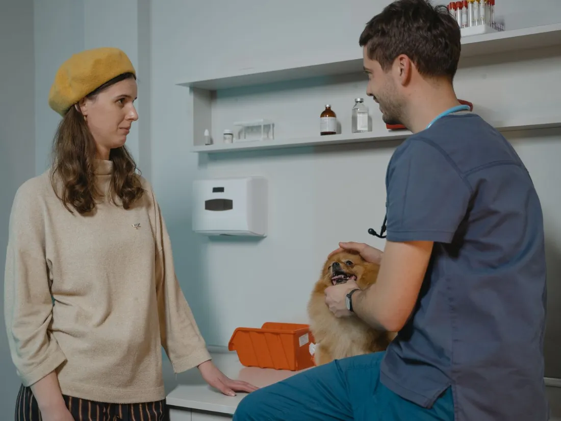 Veterinario atendiendo al dueño de un perro en la clínica